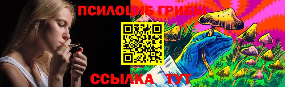 даркнет сайт  Псилоцибиновые грибы прущие грибы  Вход с VPN  Галлюциногенные грибы Magic Shrooms  Клинцы 